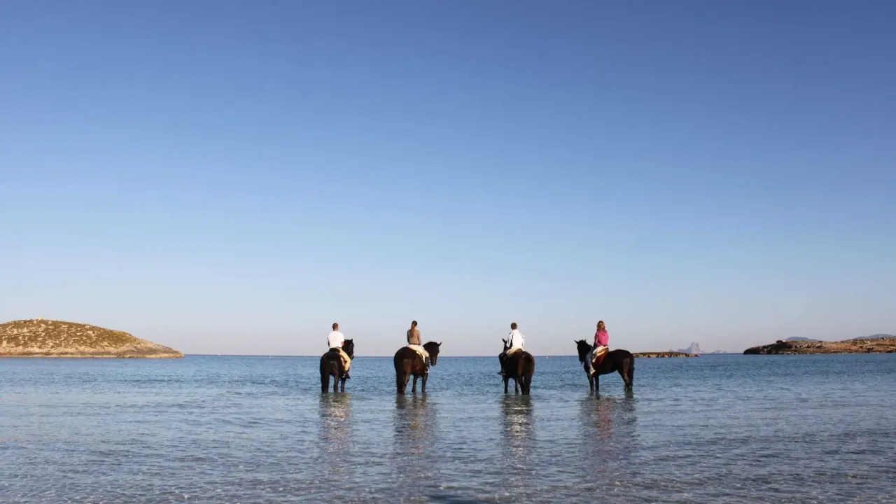 A cavalo