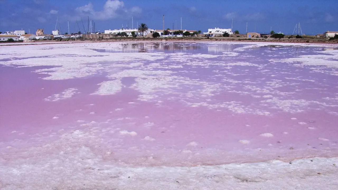 Estany Pudent y Ses Salines