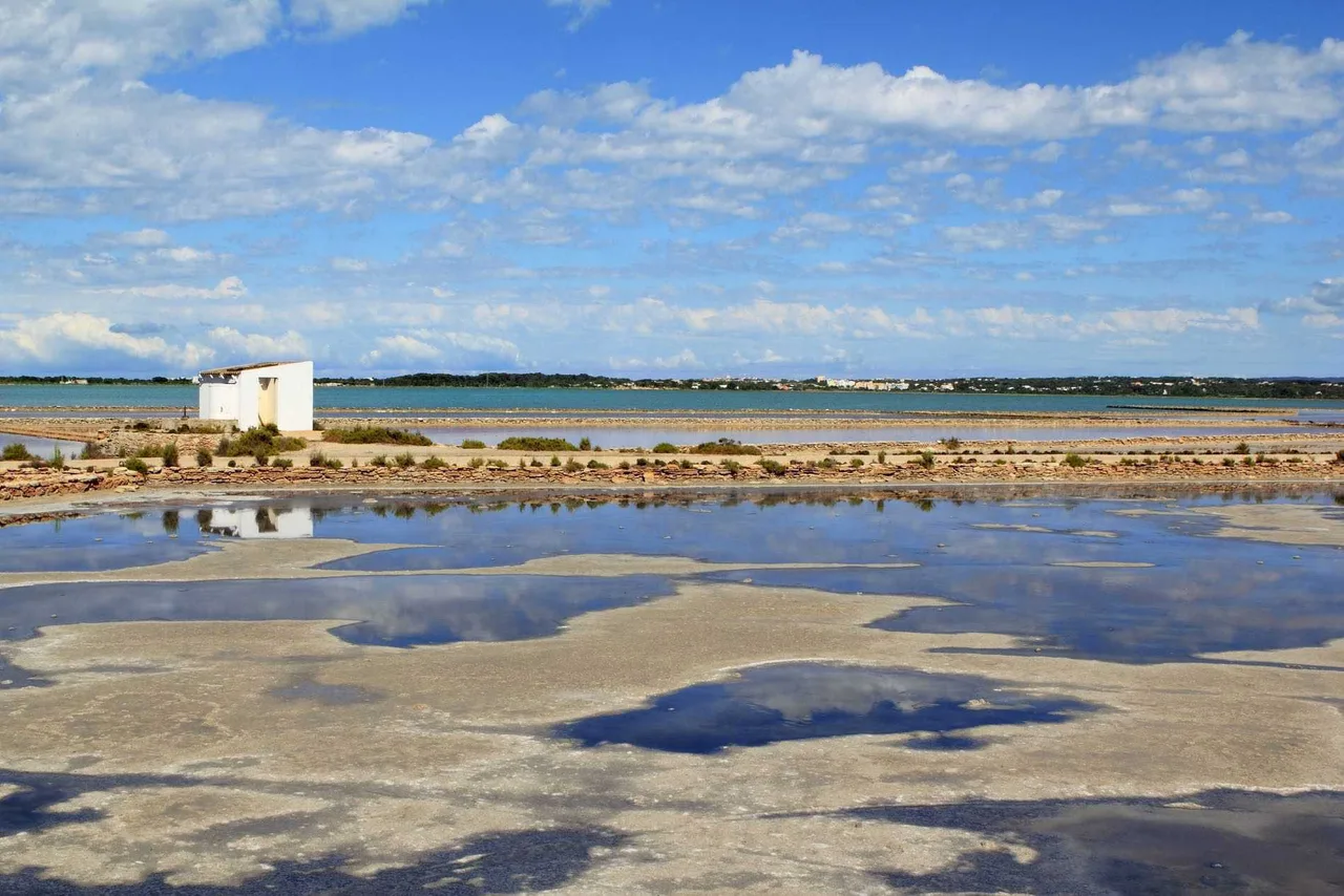 Parco Naturale di Ses Salines